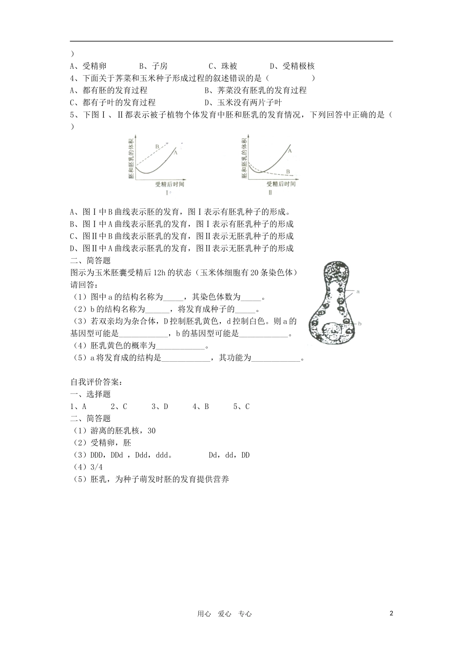 2010-2011学年高一生物 第五章 第二节 被子植物的个体发育学案 新人教版必修1_第2页