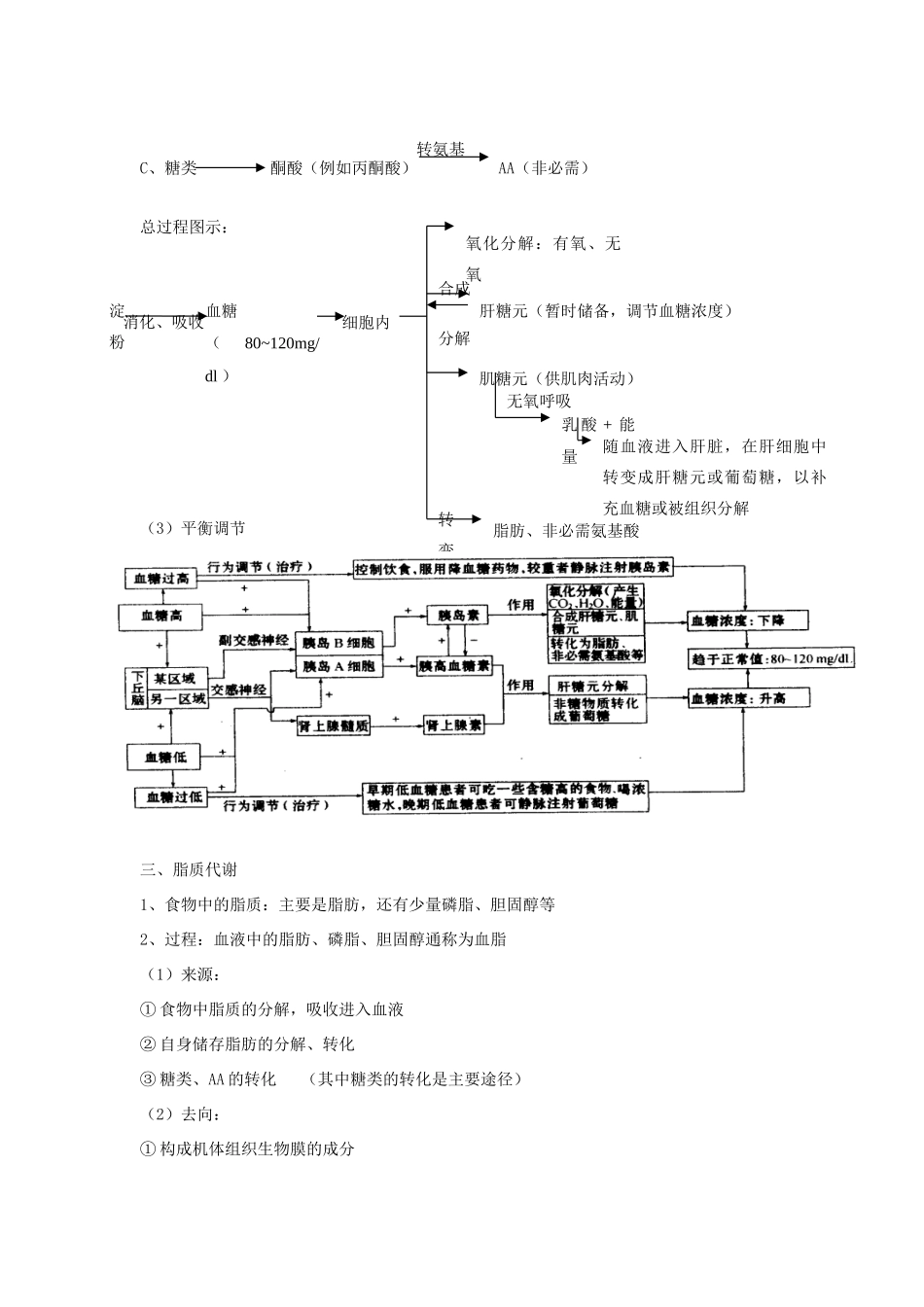 2008届高考生物第一轮复习教案(第三章第6节物质代谢至第四章生命活动的调节)_第3页