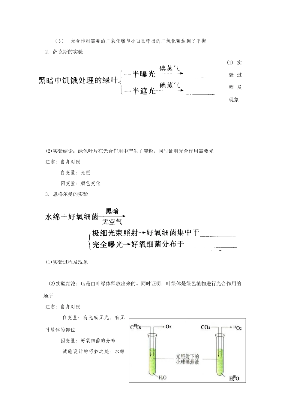 2008届高三生物第一轮复习教案(光合作用、水分、矿质代谢)_第2页