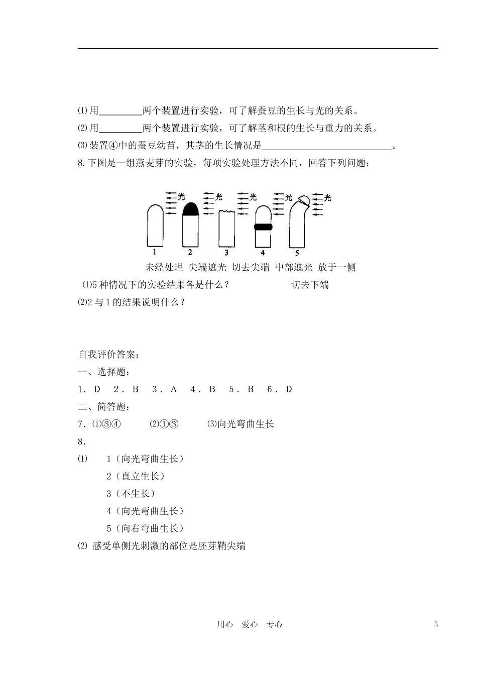 2010-2011学年高中生物第四章第一节植物的激素调节学案 新人教版必修1_第3页
