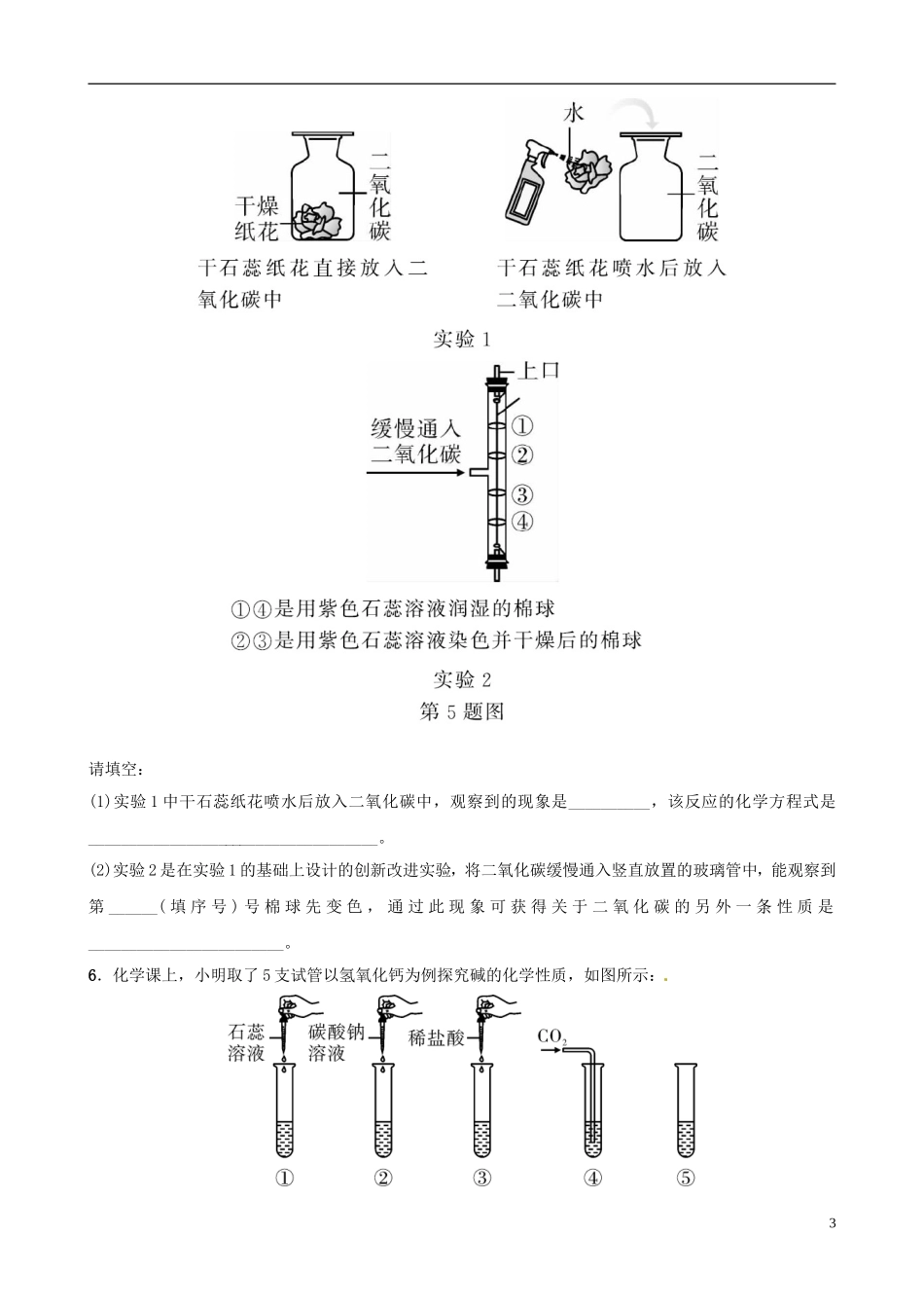 专题七　教材基础实验测试题_第3页