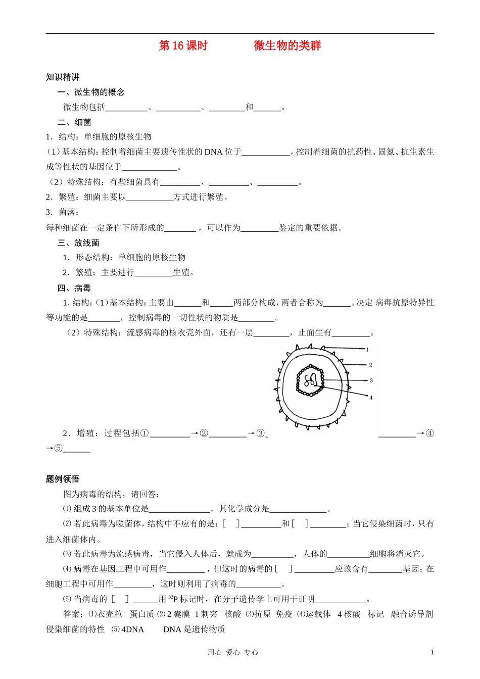 2010-2011学年高中生物第五章第一节微生物的类群学案 新人教版选修1_第1页