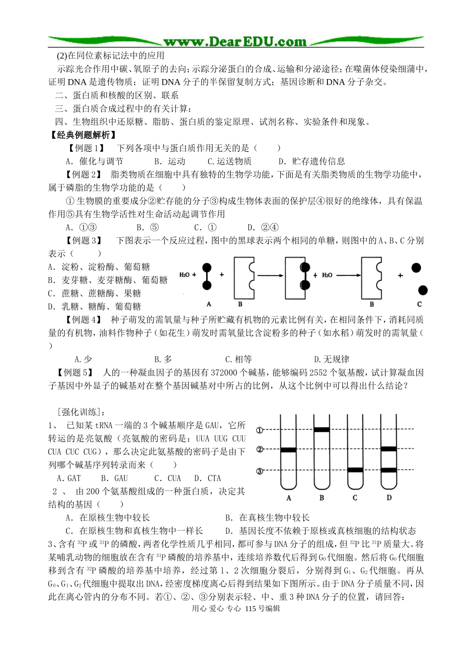 2008年棋盘中学新课程高考生物二轮复习学案 人教版_第2页