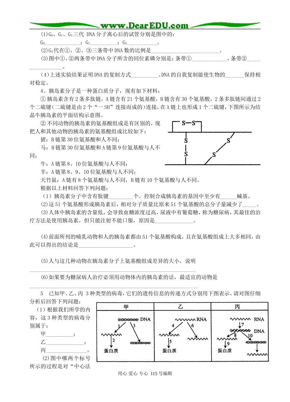 2008年棋盘中学新课程高考生物二轮复习学案 人教版_第3页