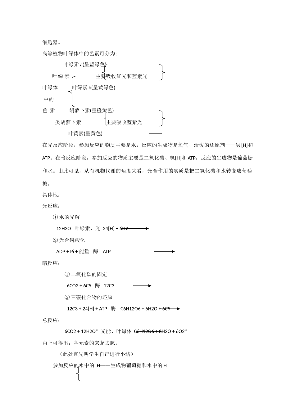 2010届大纲版高三生物一轮复习教案（13）：有机物的代谢（上）_第2页