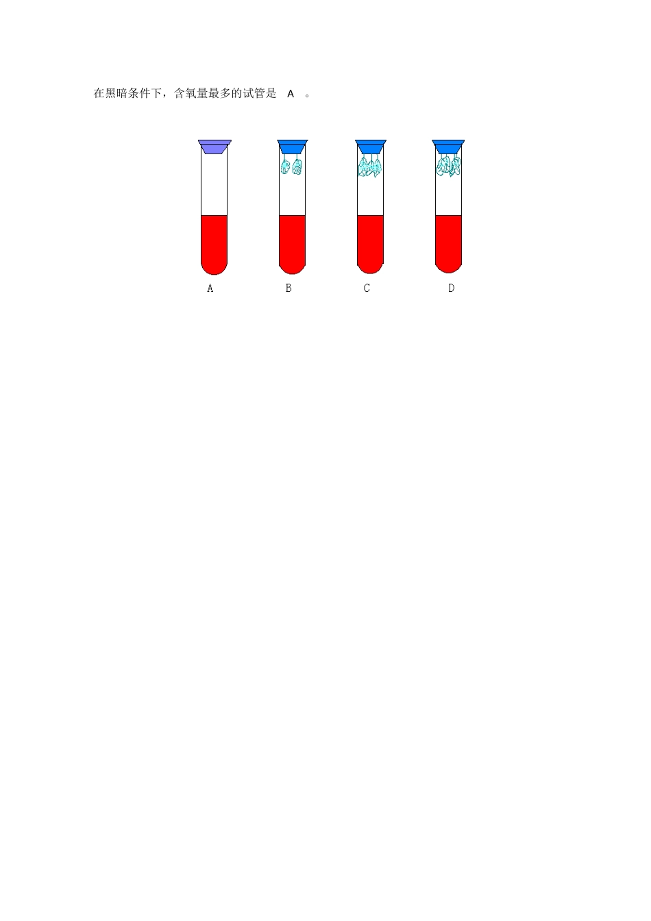 2010届大纲版高三生物一轮复习教案（27）：新陈代谢练习分析_第3页