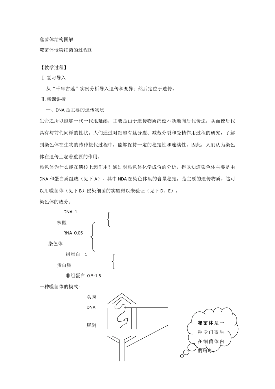2010届大纲版高三生物一轮复习教案（30）：遗传的物质基础（一）_第2页
