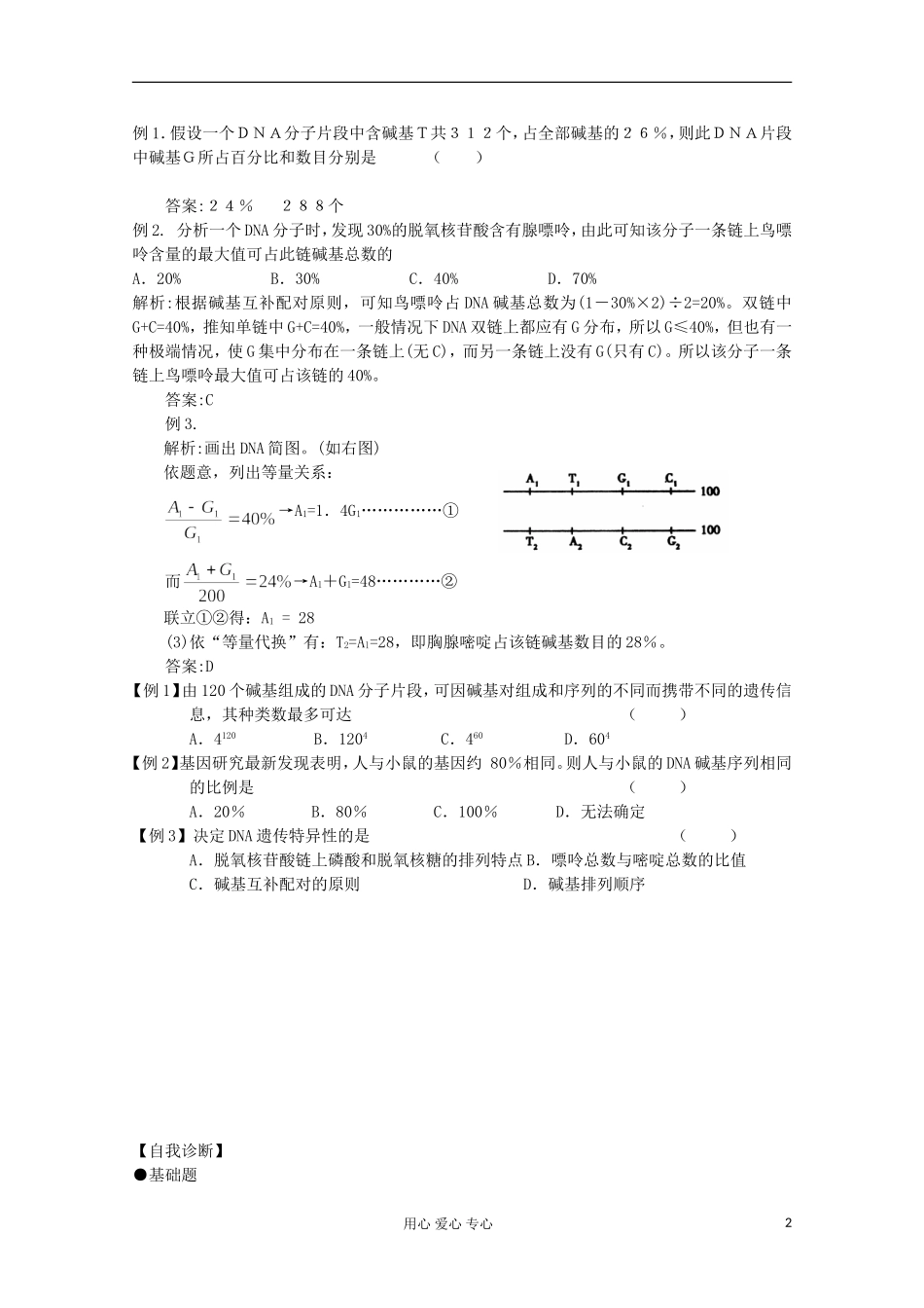 2010届高二生物 DNA的分子结构和复制学案 新人教_第2页