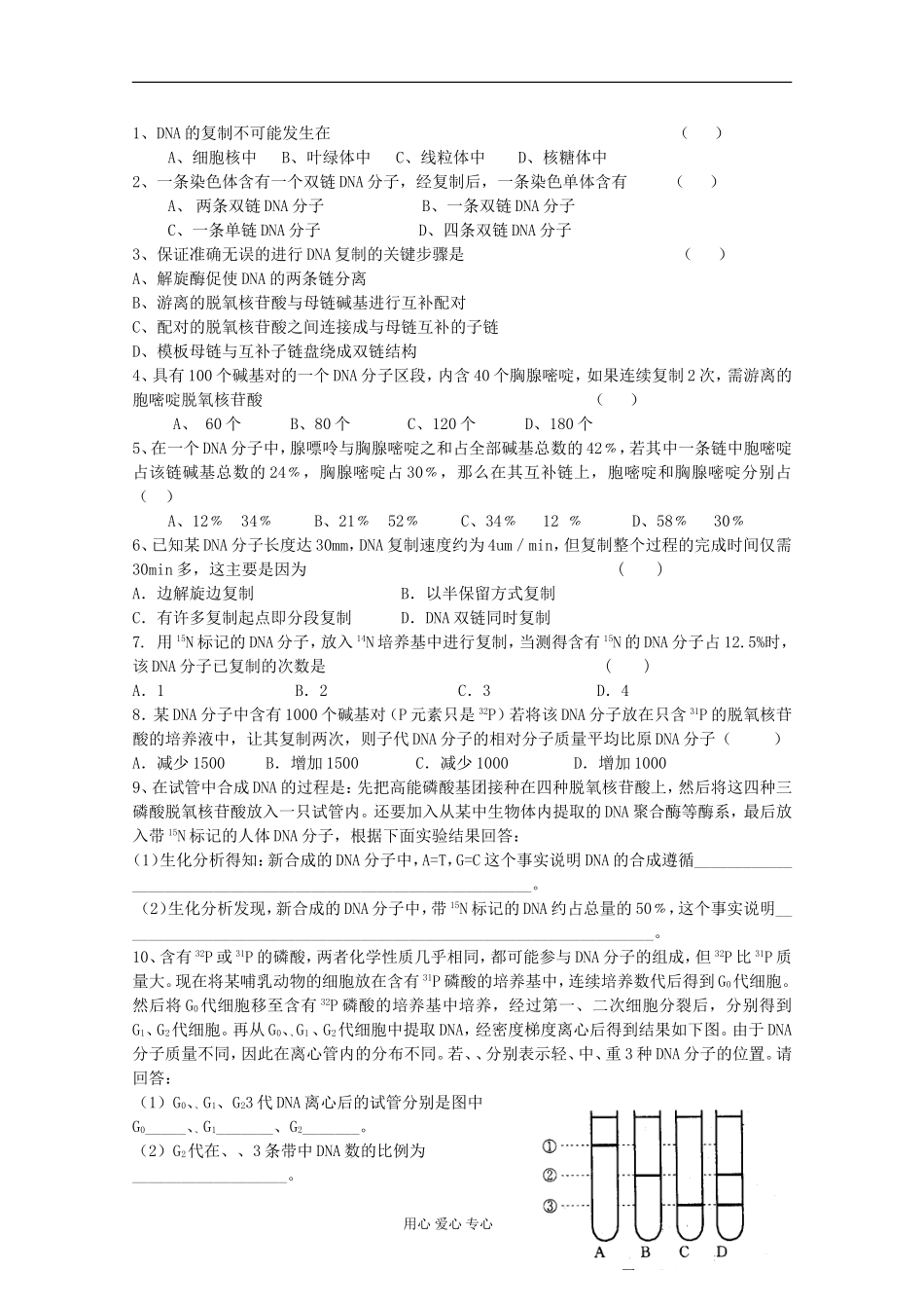 2010届高二生物 DNA的分子结构和复制学案 新人教_第3页