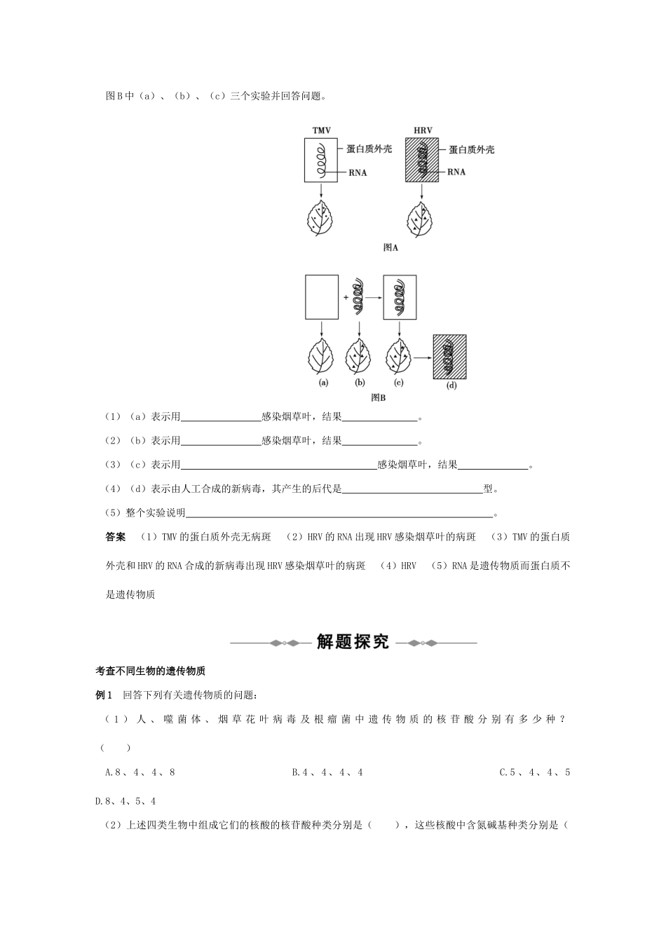 2010届高考生物一轮复习精品资料（2.3）：基因的本质_第3页