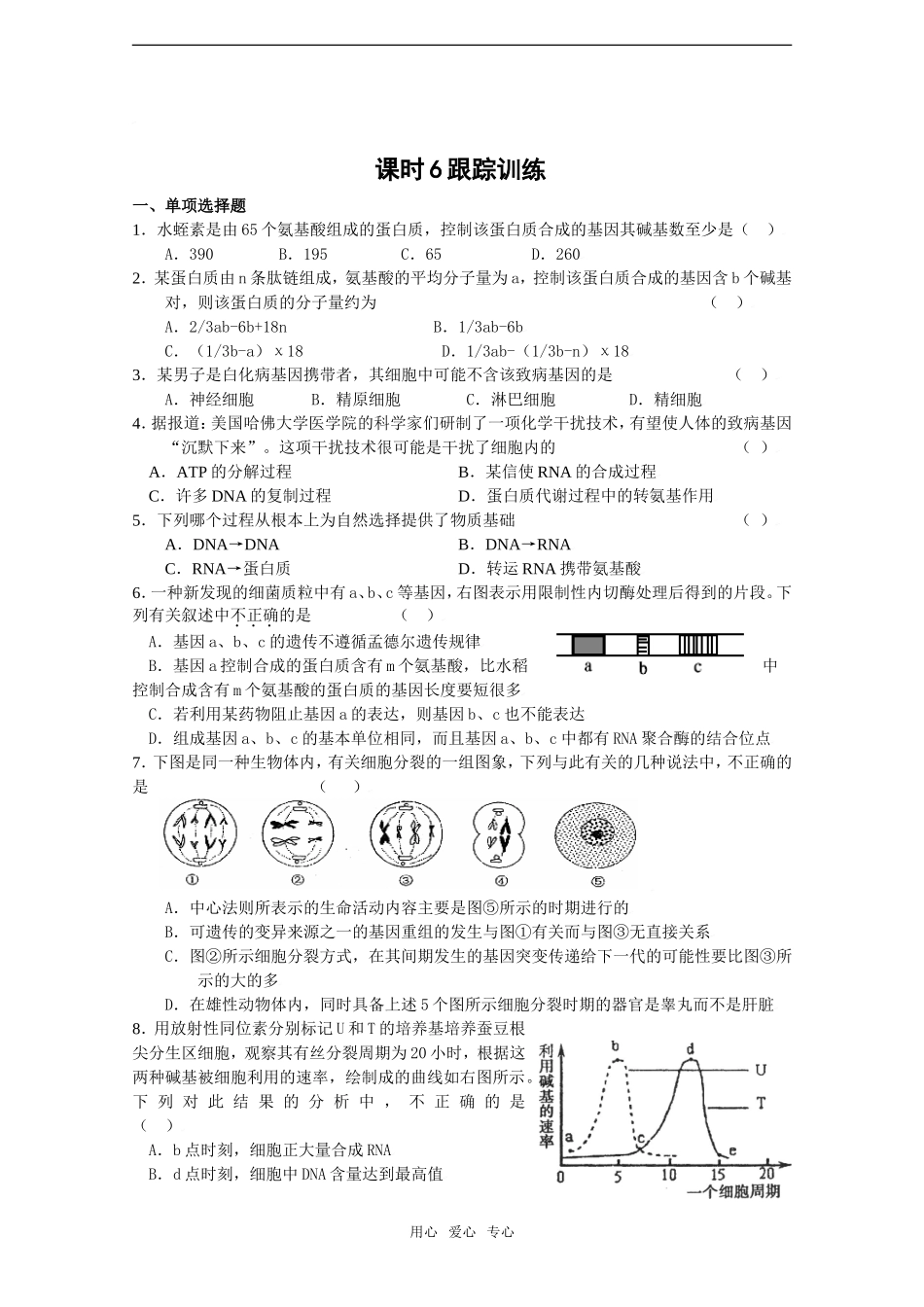 2010届高考生物一轮复习精选学案_基因的结构（二）_第2页