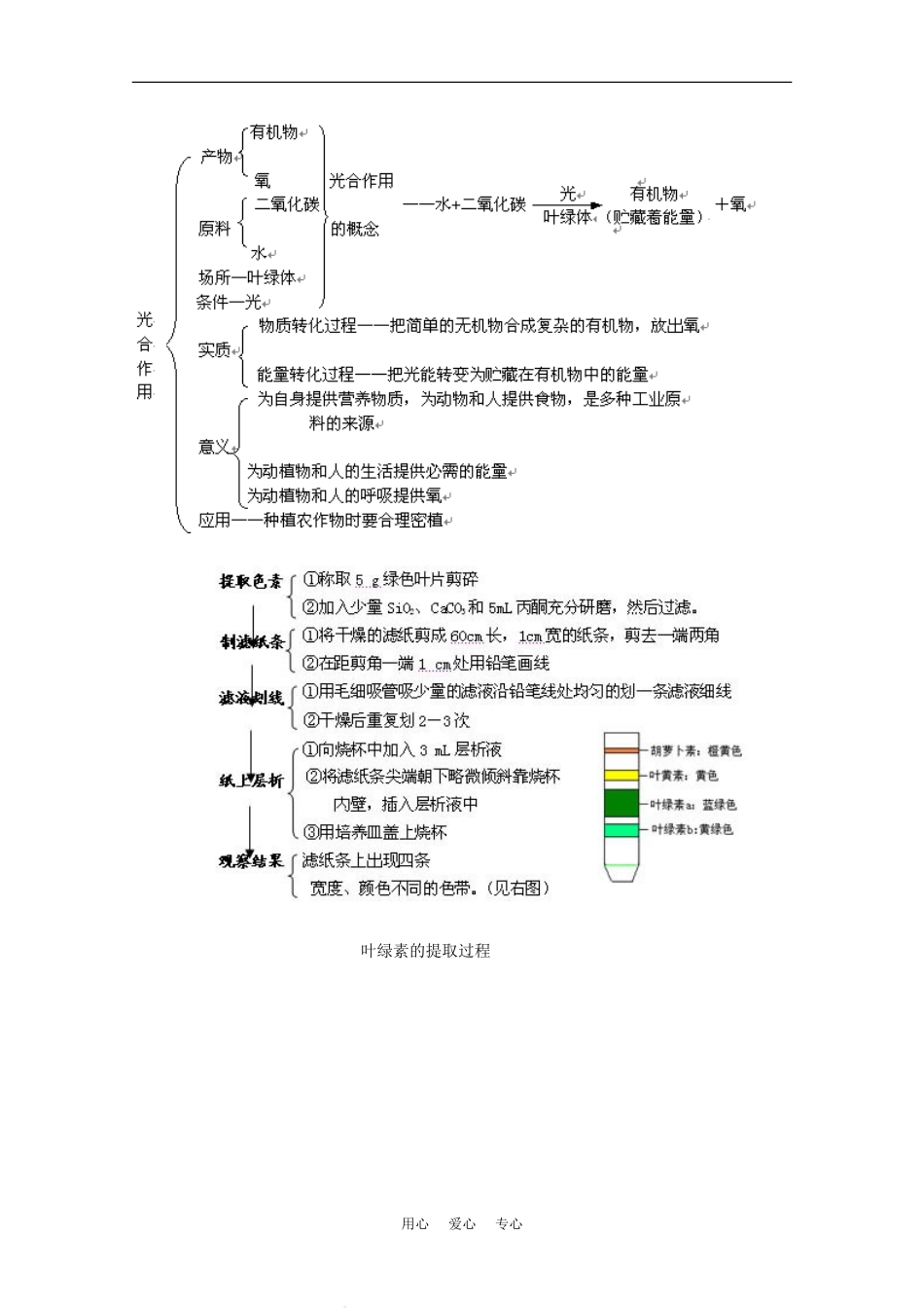 2010届高考生物知识系统表解：细胞的能量供应和利用素材_第2页