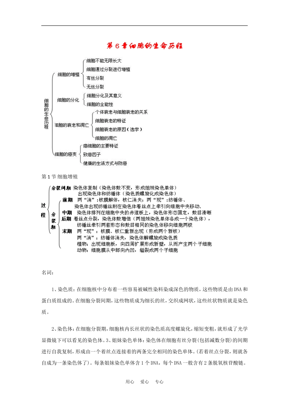 2010届高考生物知识系统表解：细胞的生命历程素材_第1页