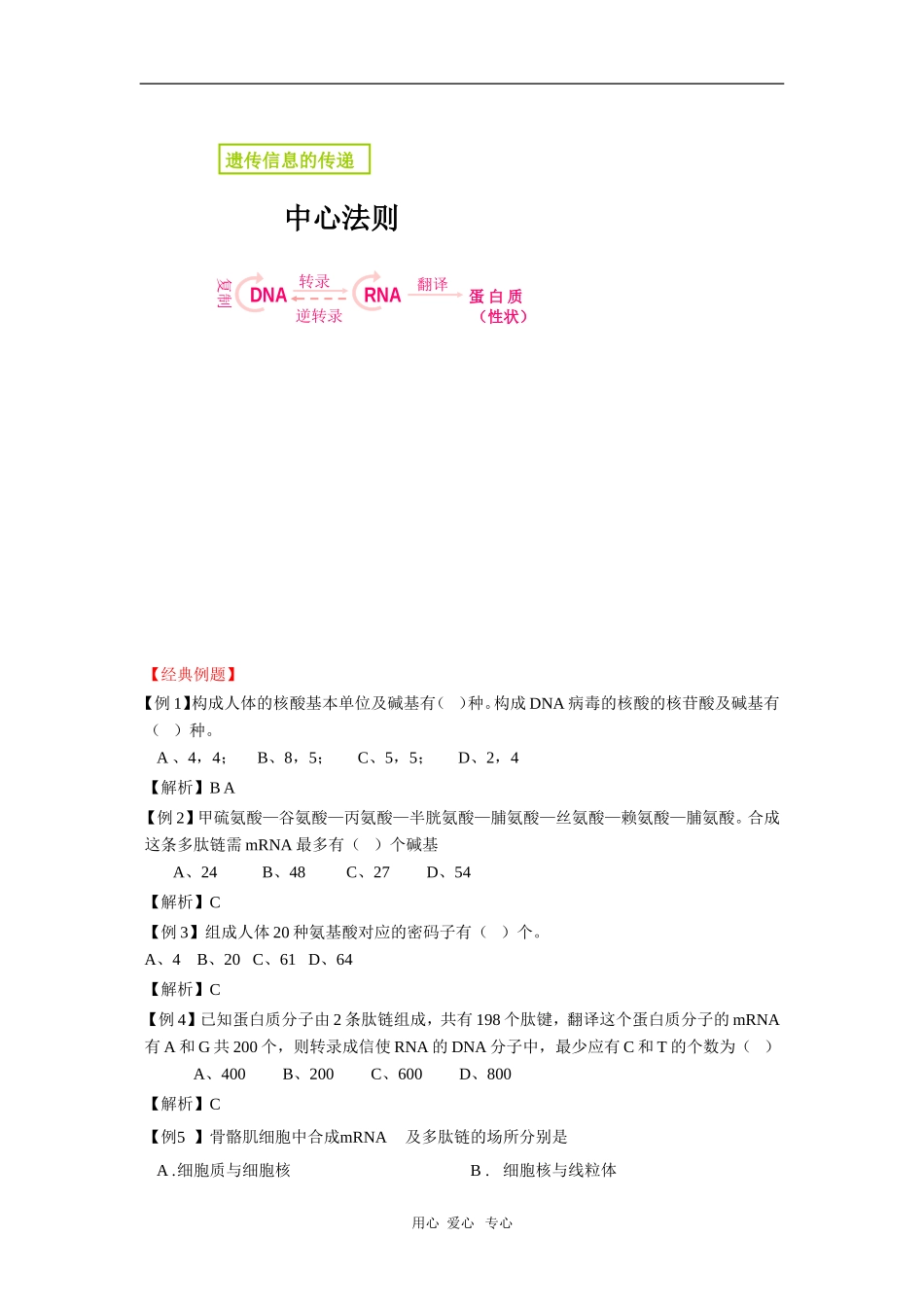 2010届高三复习生物学案：遗传信息的表达—RNA和蛋白质的合成_第3页