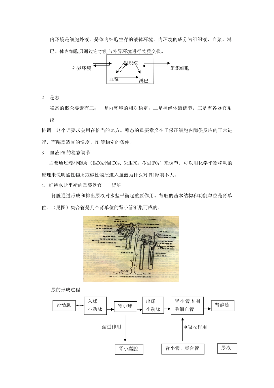 2010年高三生物二轮精讲专案---人体的稳态全国通用_第2页