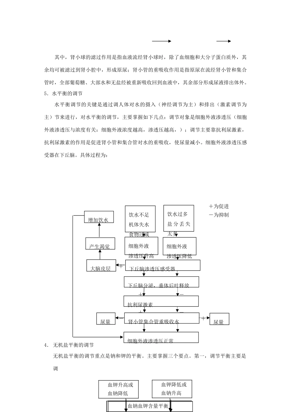 2010年高三生物二轮精讲专案---人体的稳态全国通用_第3页