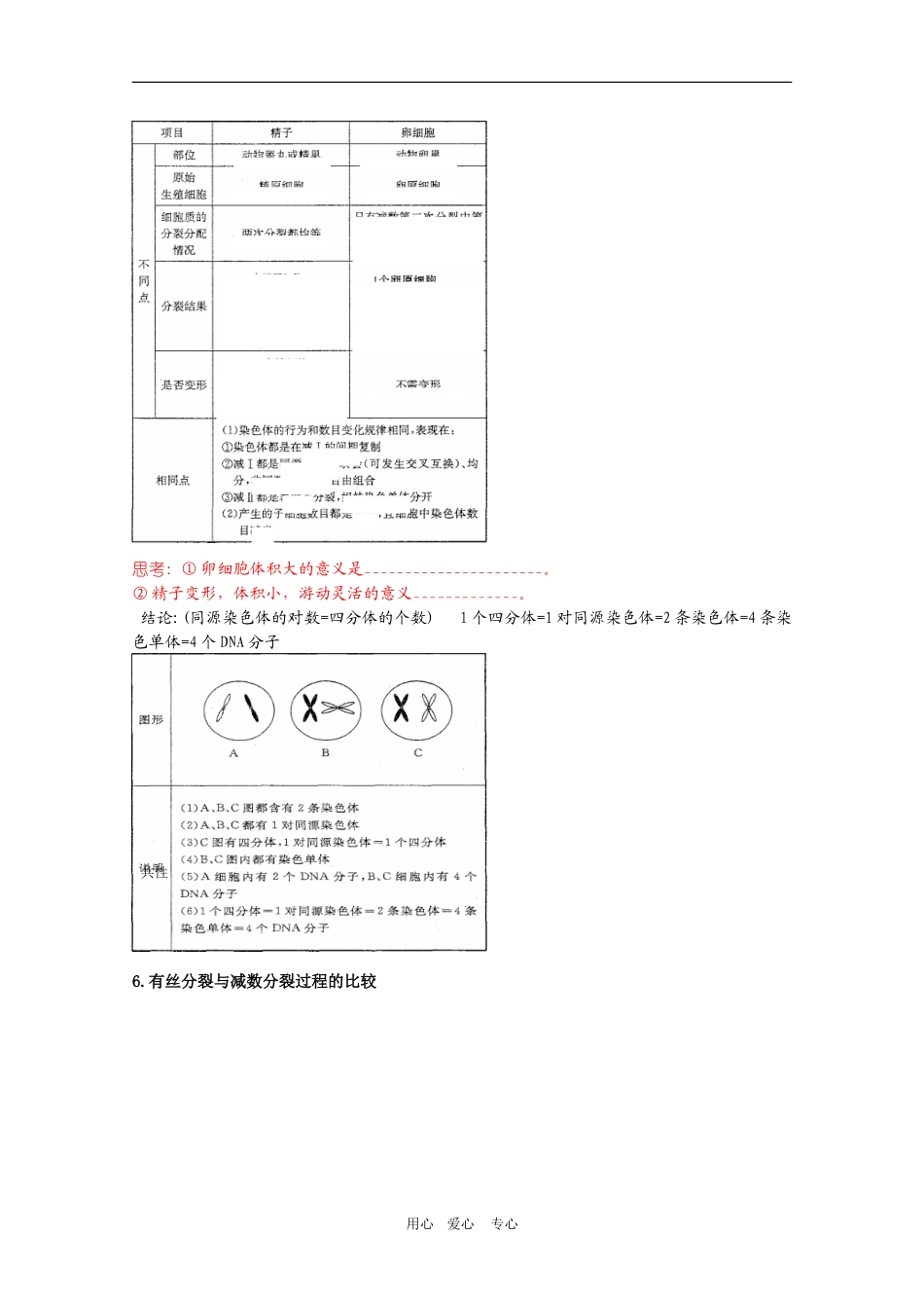 2010届高三生物一轮复习：第2章《基因和染色体的关系 第一课时》教学案（新人教版必修2）_第3页