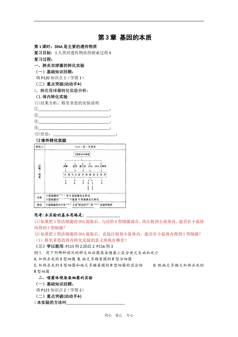 2010届高三生物一轮复习：第3章《基因的本质 第一课时》教学案（新人教版必修2）_第1页