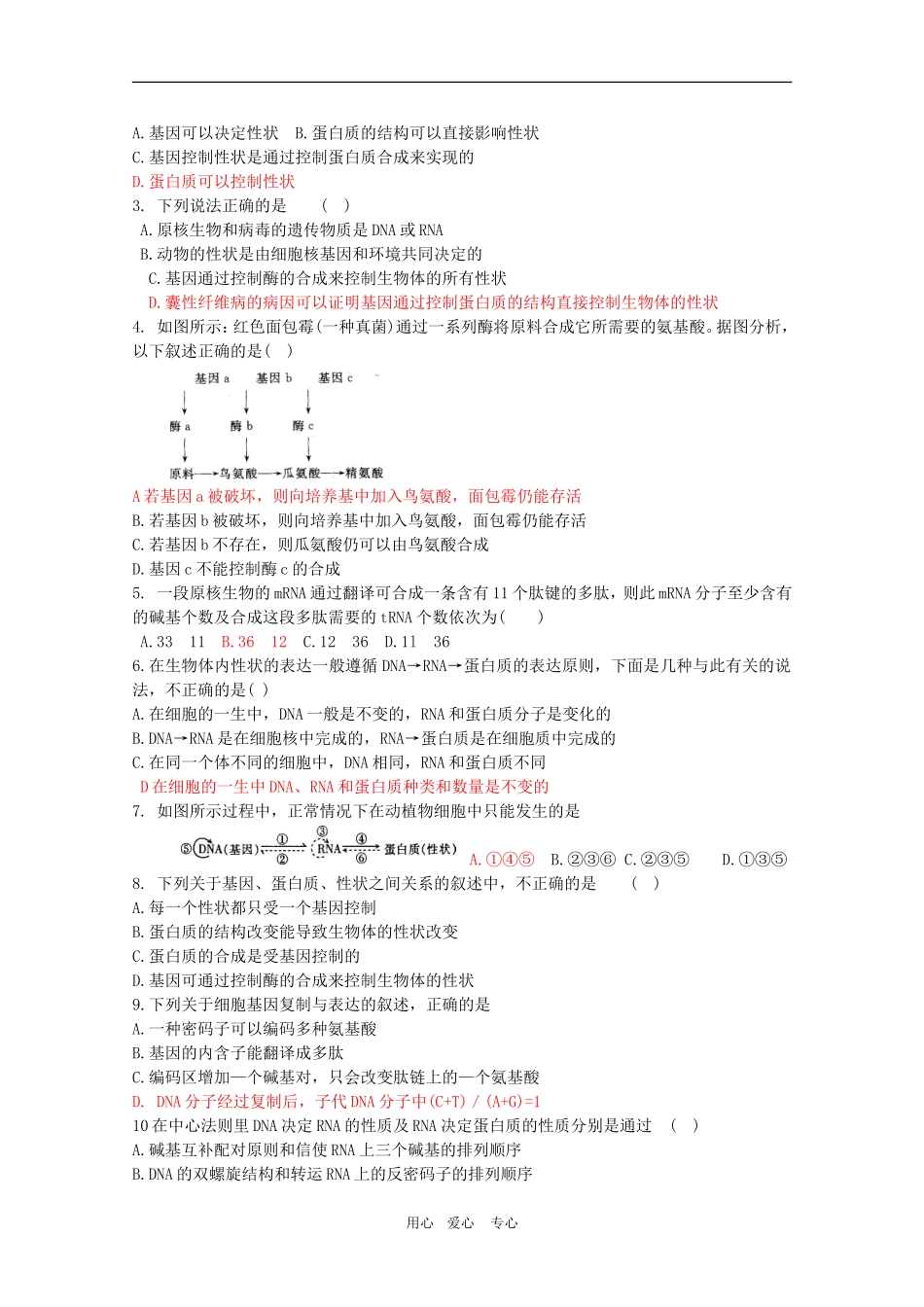 2010届高三生物一轮复习：第4章《基因的表达 第二课时》教学案（新人教版必修2）_第3页