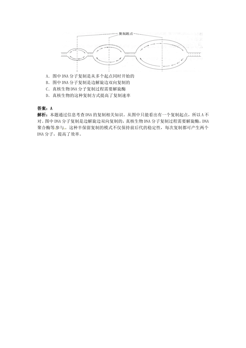 2010届高三生物一轮复习讲练精品学案系列――DNA分子的复制_第3页