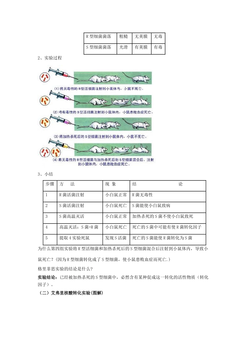 2010年高三生物精讲精析专案---遗传的分子基础全国通用_第2页
