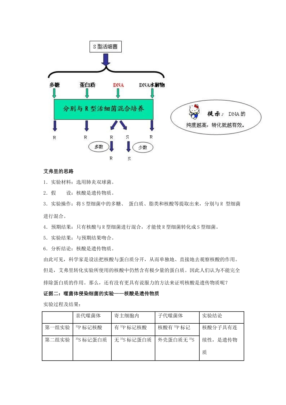 2010年高三生物精讲精析专案---遗传的分子基础全国通用_第3页