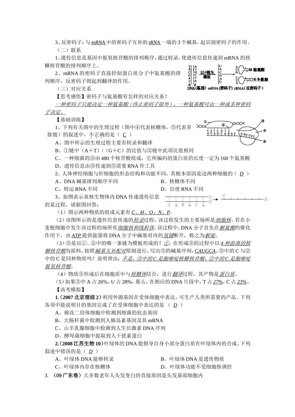 2010届高三生物一轮复习讲练精品学案系列――基因的表达全国通用_第2页