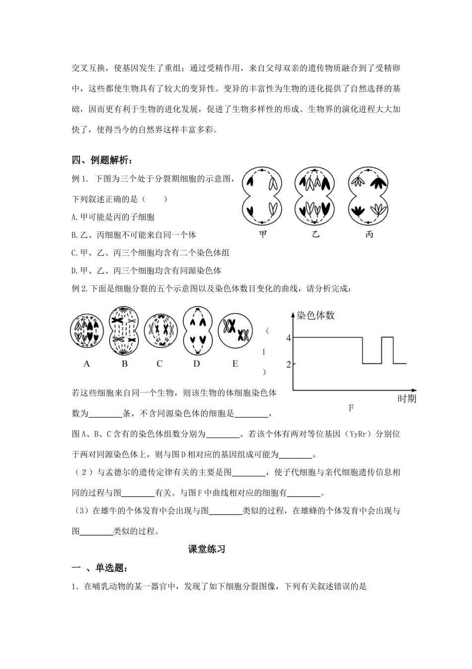 2010届高三生物二轮复习专案---减数分裂、受精作用与胚胎工程_第3页