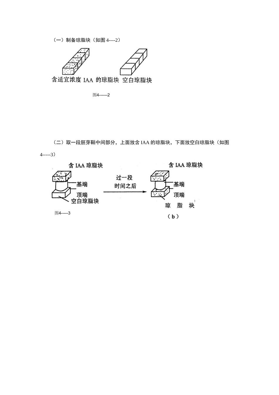 2010届高三生物二轮实验专题12教案_第2页