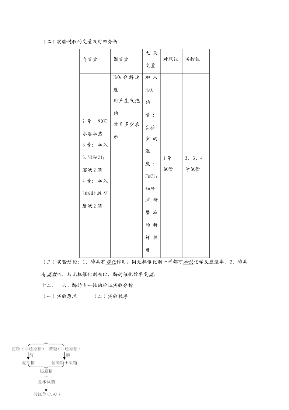 2010届高三生物高考复习必备：酶、酶的存在与简单制作方法_第3页