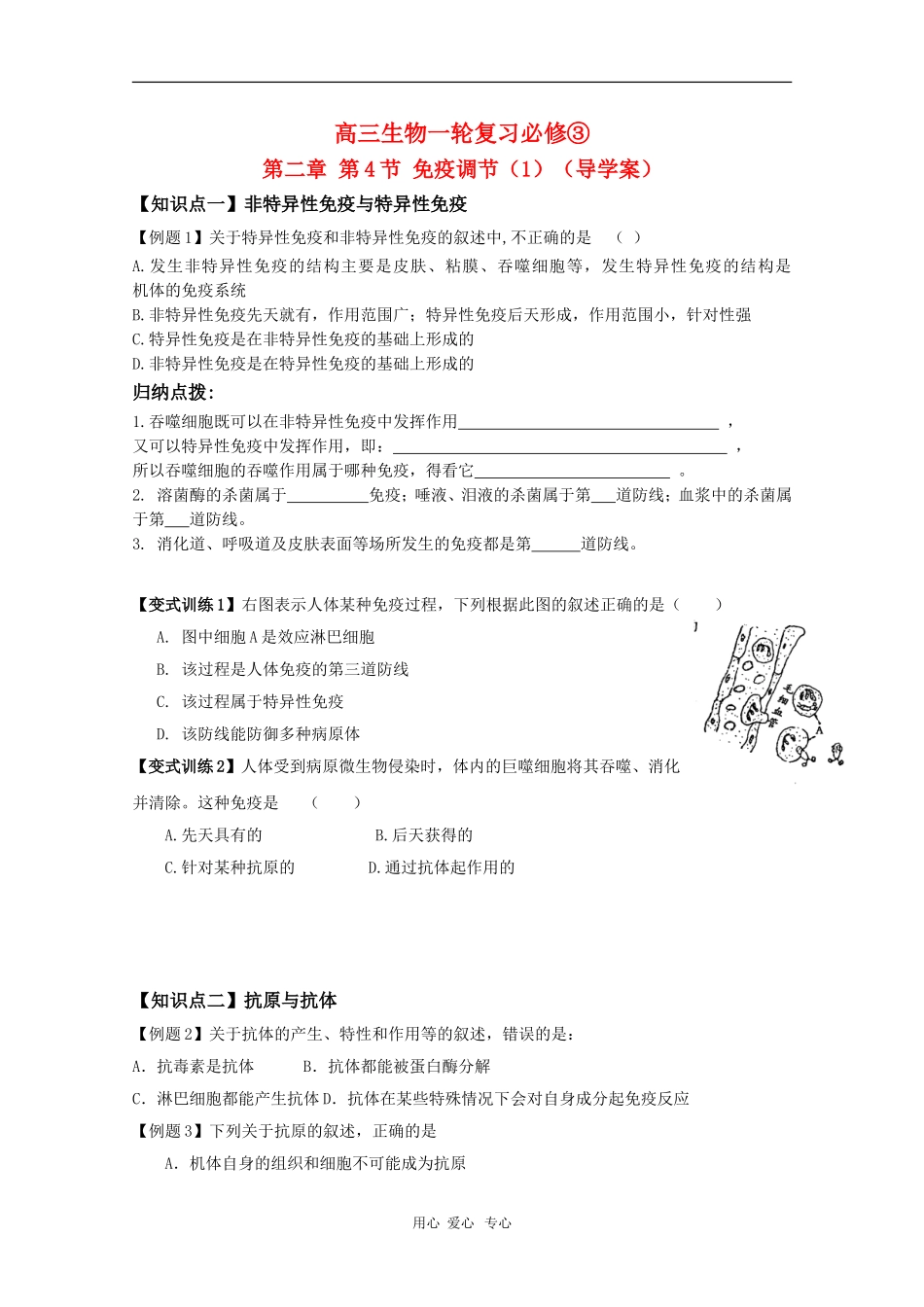 2010届高三生物一轮复习学案：免疫调节（1）_第1页