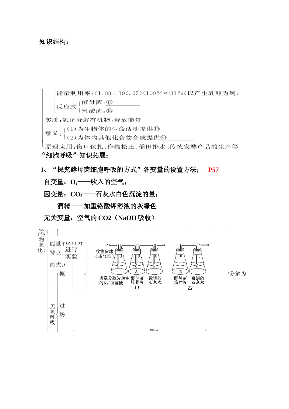 2010届高三生物高考专题2：细胞代谢3——呼吸和光合（教案）新人教版_第2页