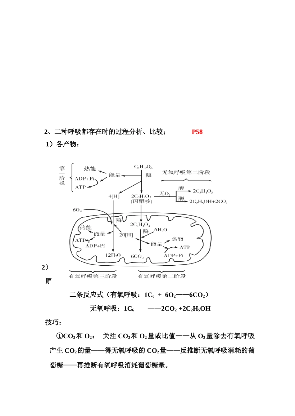 2010届高三生物高考专题2：细胞代谢3——呼吸和光合（教案）新人教版_第3页