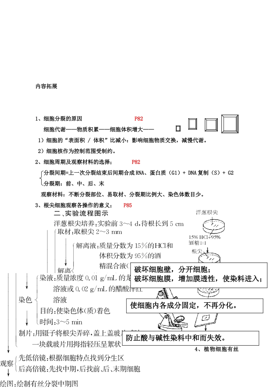 2010届高三生物高考专题3：细胞分裂和历程（教案）新人教版_第2页