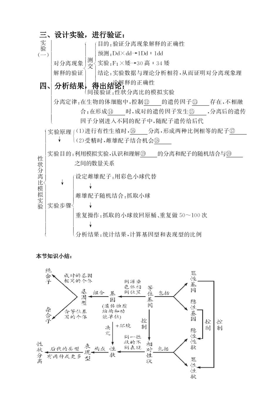 2010届高三生物高考专题4：二条遗传定律（教案）新人教版_第2页
