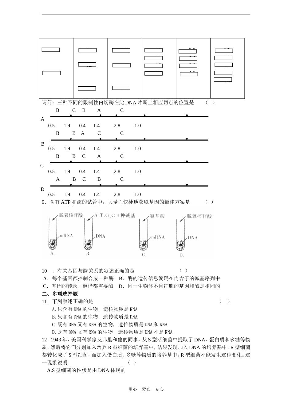 2010届高三生物一轮教学案（DNA是主要的遗传物质）_第3页