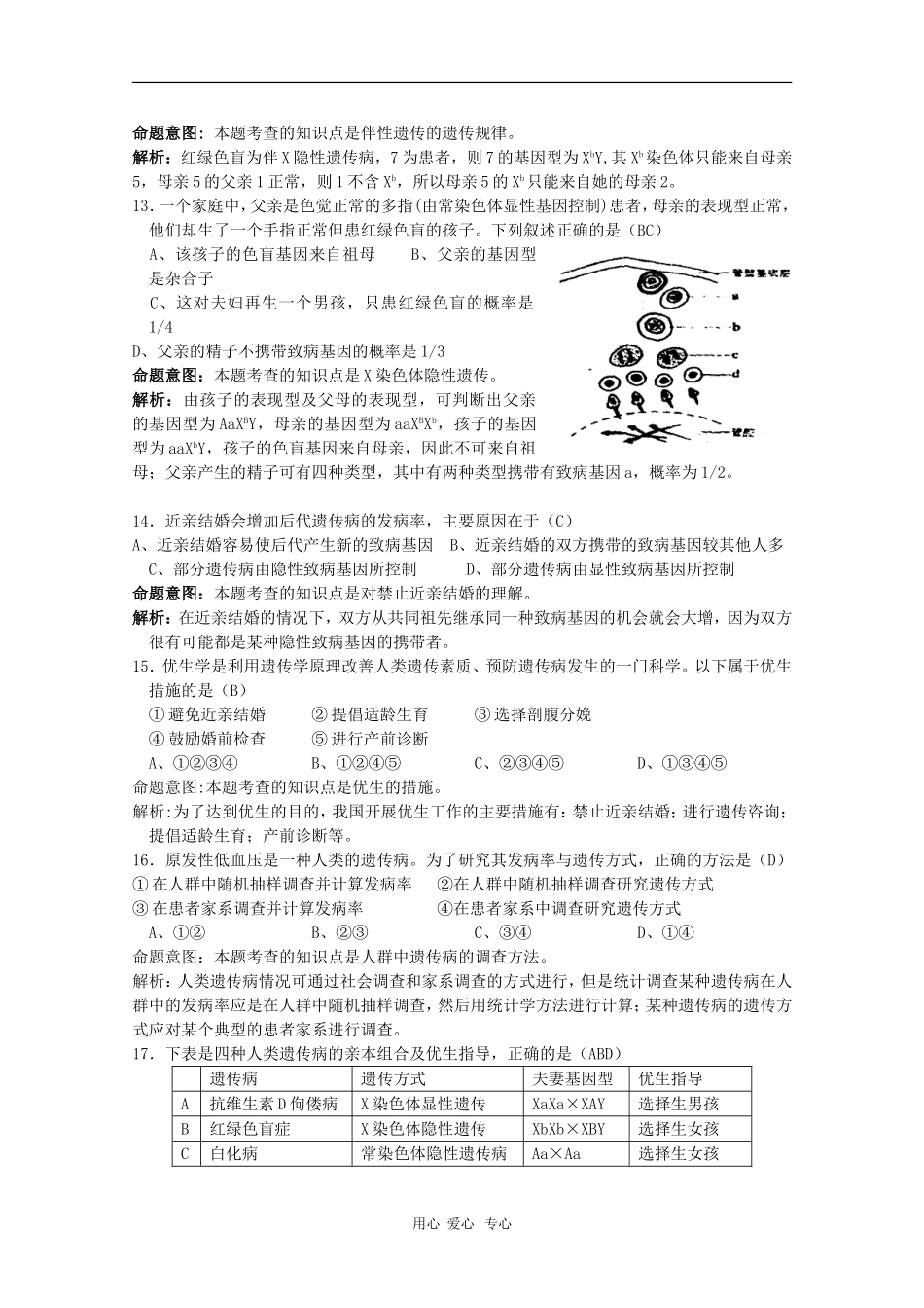 2010届高三生物精讲学案-遗传、变异_第3页