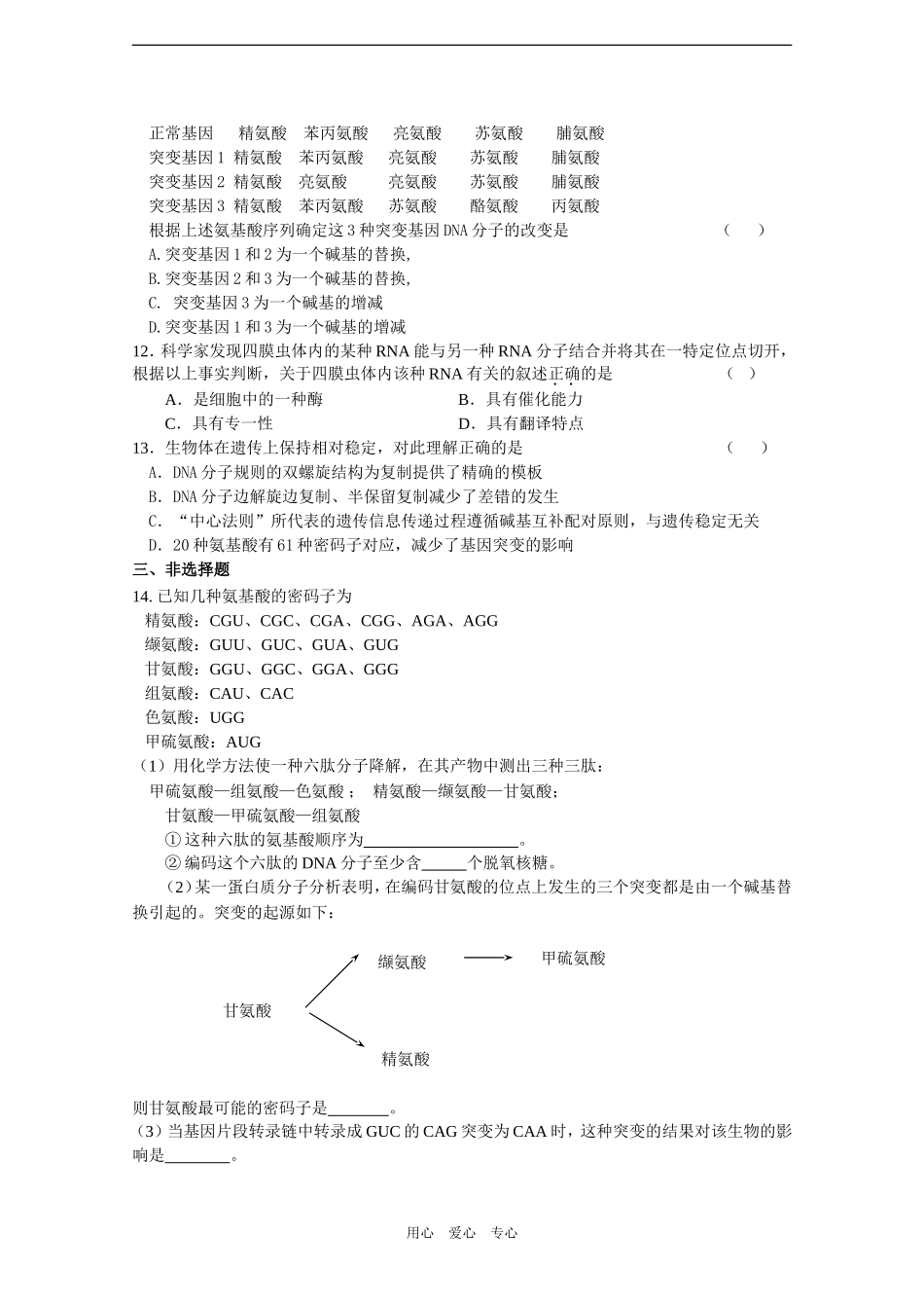 2010届高三生物一轮教学案（基因的表达一）_第3页