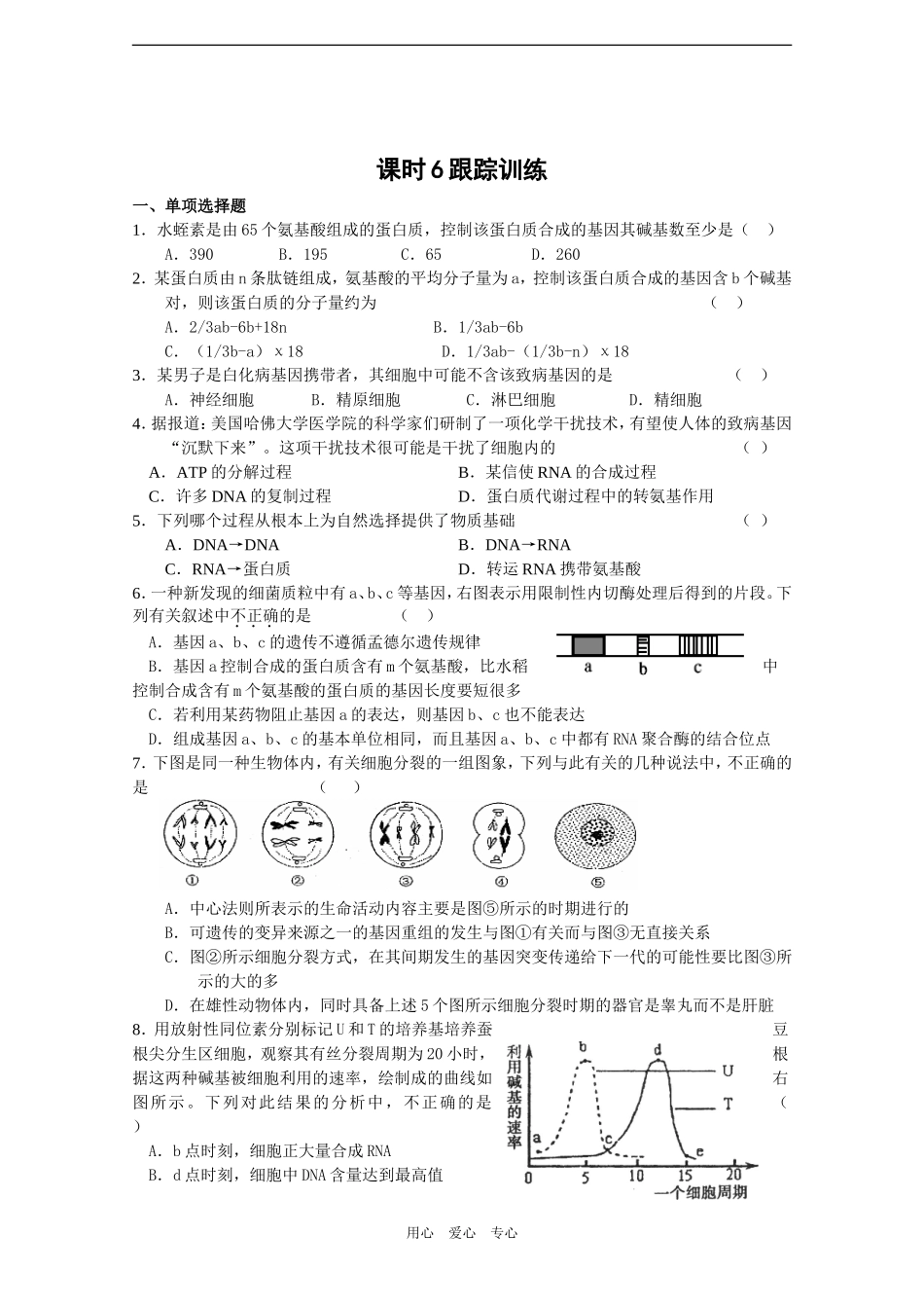 2010届高三生物一轮教学案（基因的结构二）_第2页
