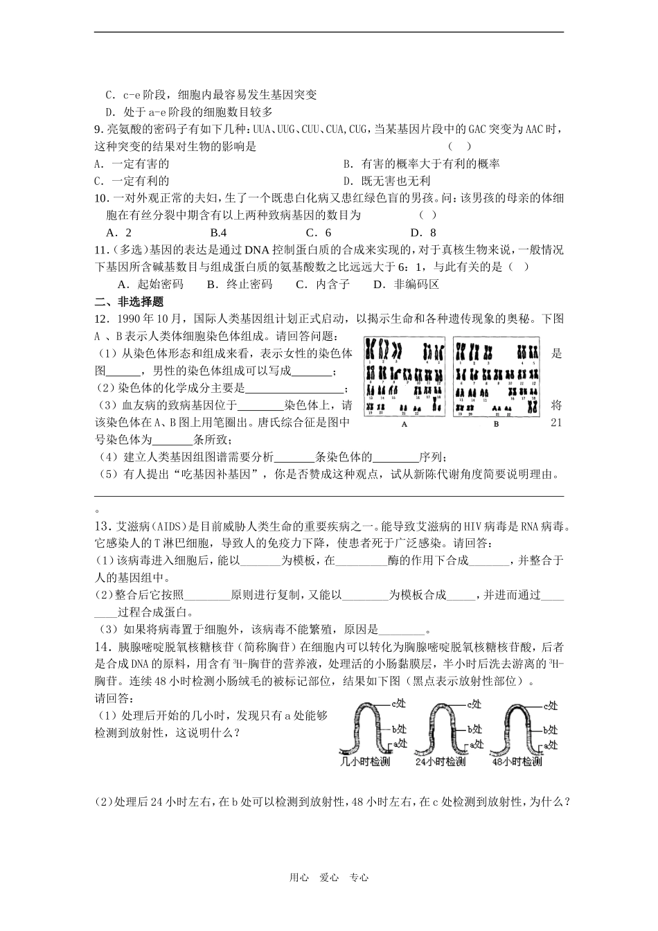 2010届高三生物一轮教学案（基因的结构二）_第3页