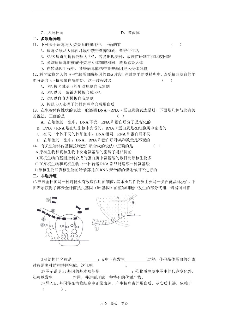 2010届高三生物一轮教学案（基因的表达二）_第3页