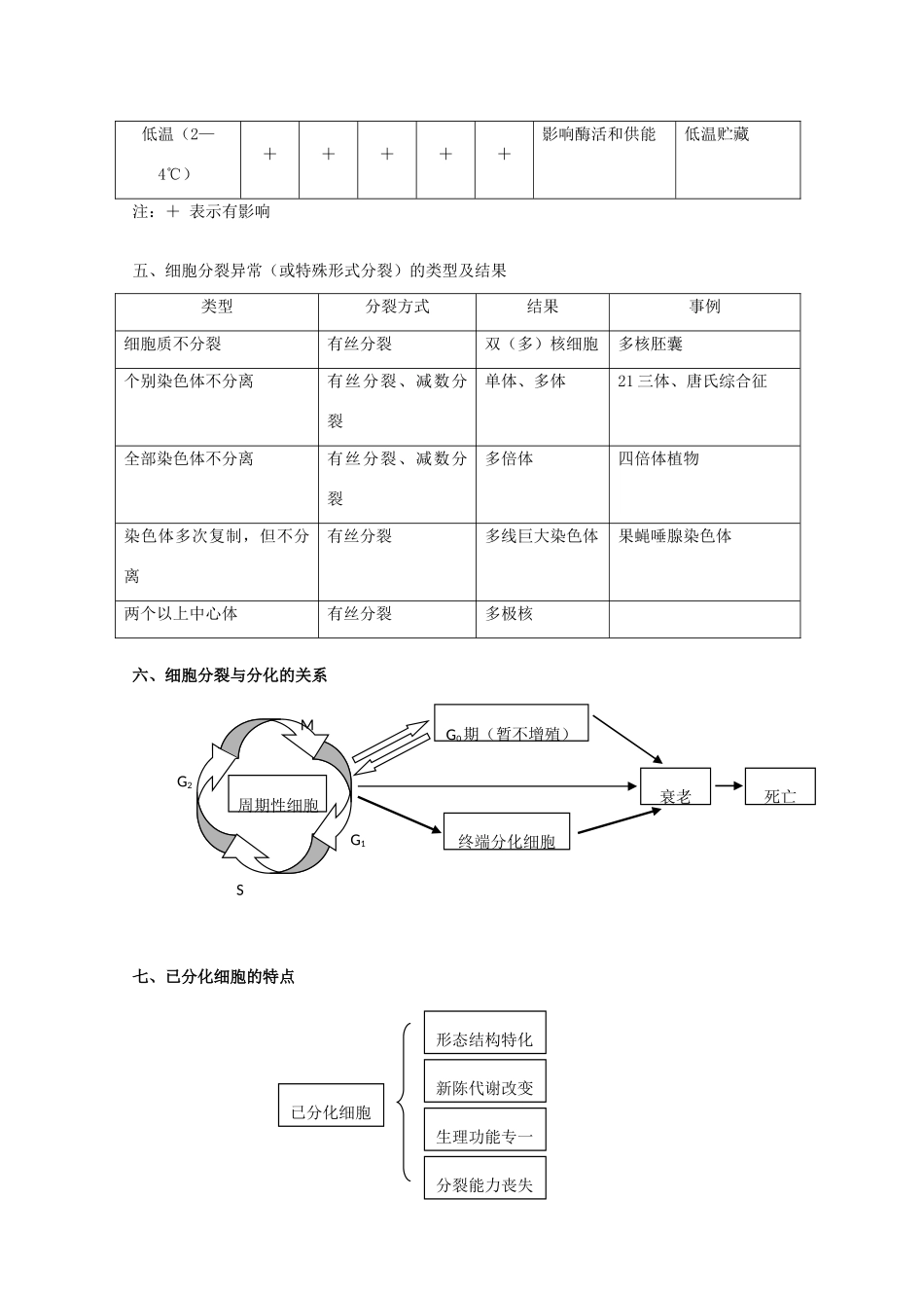 2010届高三生物专题复习教案：细胞的生命历程_第3页