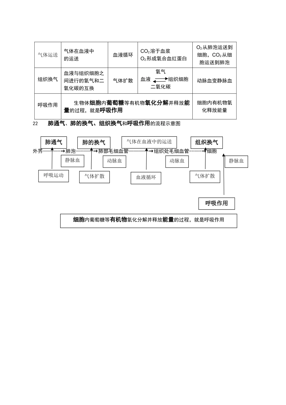 2025年北师大版生物人体的能量供应知识点总结_第3页
