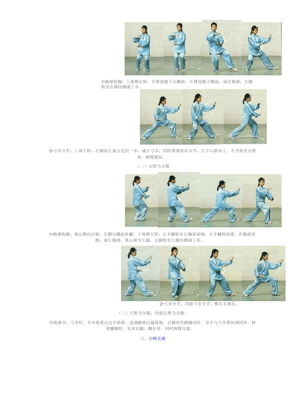 最全24式简化太极拳动作图解资料讲解_第3页