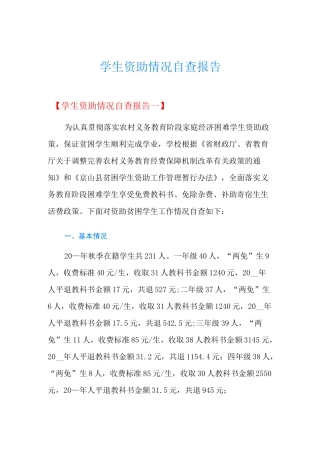 学生资助情况自查报告