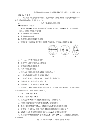 减数分裂和受精作用习题  含答案