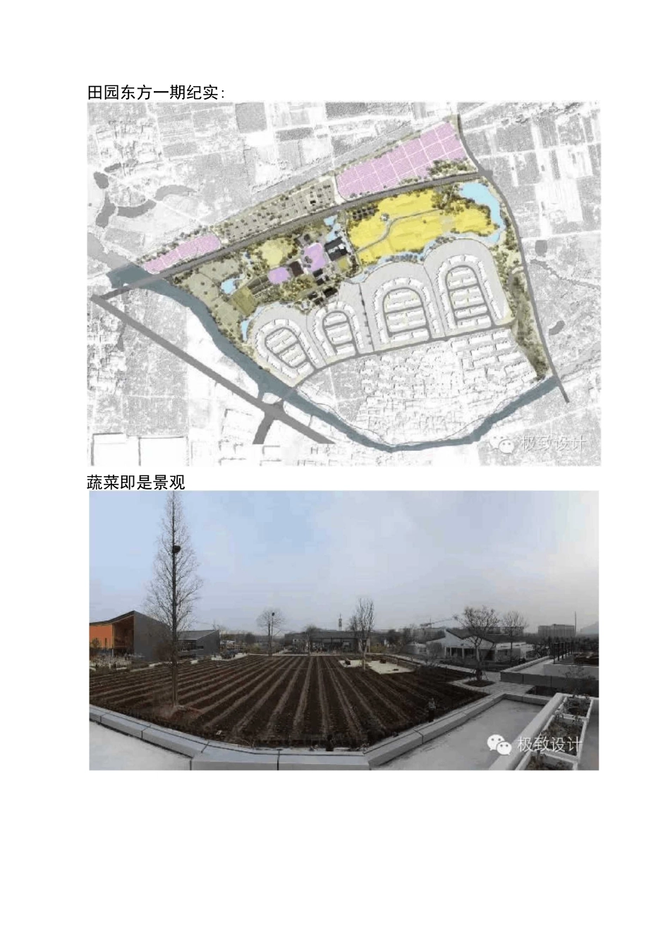 阳山镇田园综合体_第3页