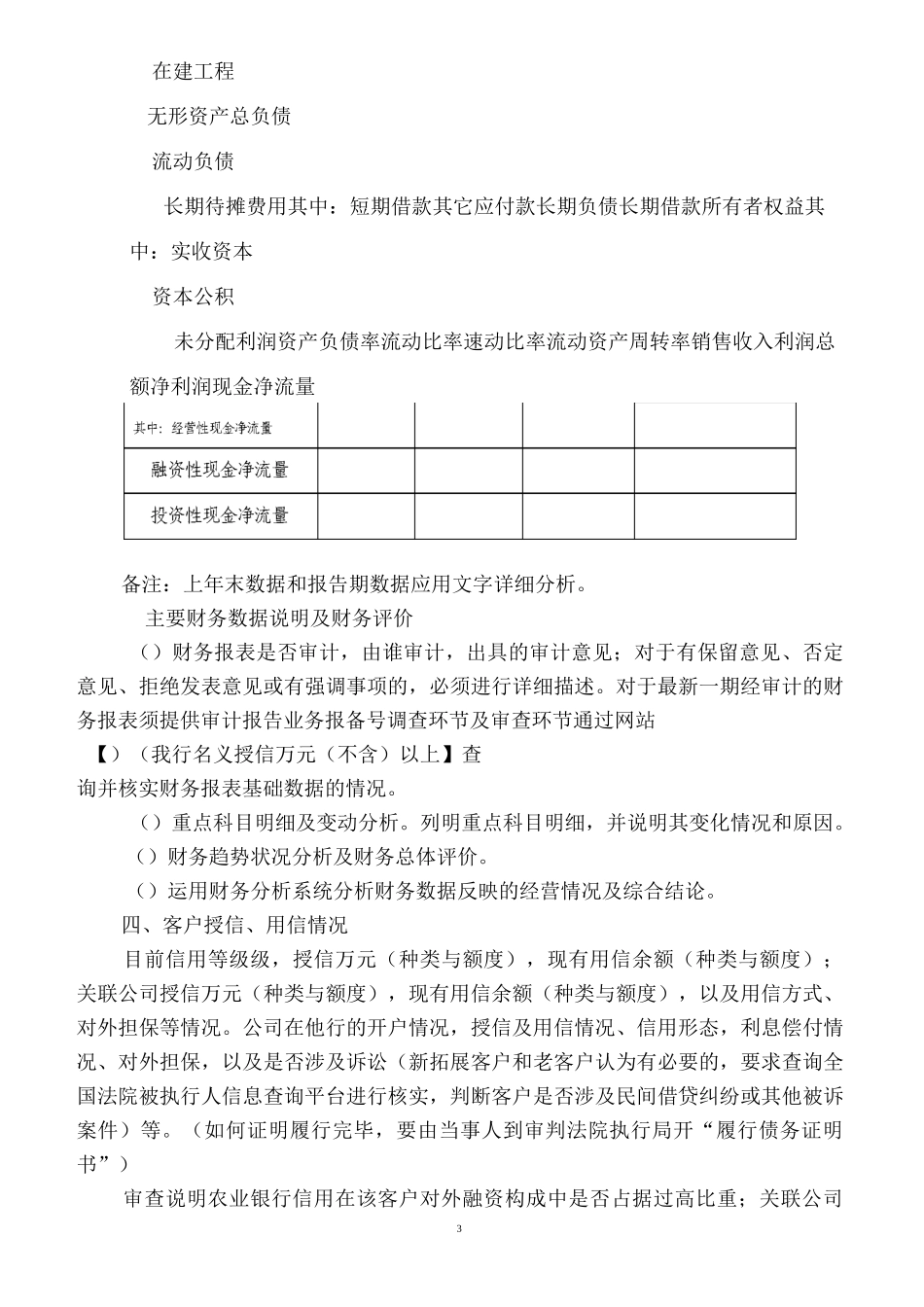 审查报告模板--授信_第3页