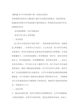 科技实践活动范例