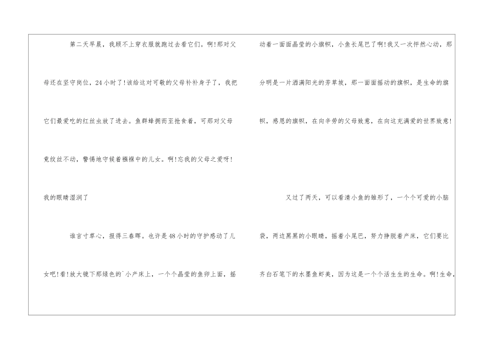 历年小升初满分作文大全_第3页